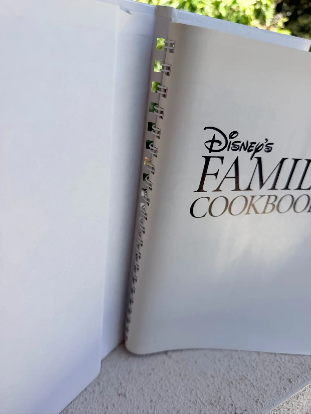 Disney’s Family Cookbook Deanna F Cook 1996 First Edition Spiral Hardcover